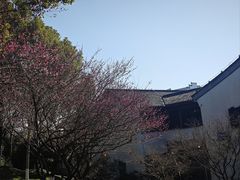 -高淳老街