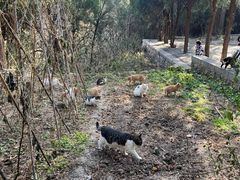 -四门塔风景区