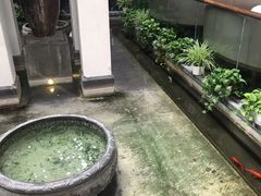-旺顺阁鱼头泡饼(小红门店)