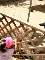 -萌宠亲子动物乐园(槐房万达店)