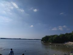 -宝安西湾红树林湿地公园