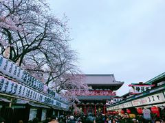 -东京浅草和服体验江户和装工房雅(浅草本店)
