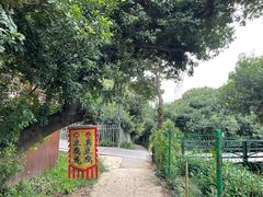 -树山生态村