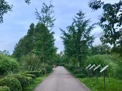 -白鹭湾湿地公园