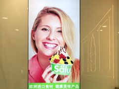 -Salud撒露欧洲冻酸奶(五道口购物中心店)