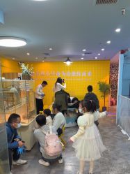 -神奇动物撸宠馆·羊驼·小浣熊·异宠(豫园店)