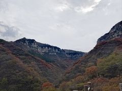 -黄花溪