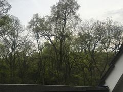 -杭州花家山庄
