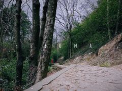 -上海佘山国家森林公园天马山园