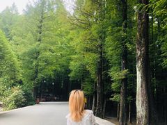 -山王坪喀斯特国家生态公园