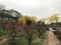 -南国桃园旅游度假区