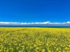 -青海湖国家重点风景名胜区