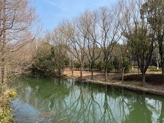 -昆山城市生态森林公园