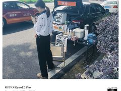 -王借岗森林公园