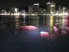 -广安大桥