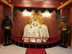 -济州岛泰迪熊博物馆