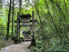 -凤栖山