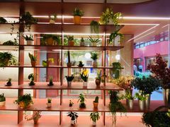 -二酉书店TOYOU BOOKS