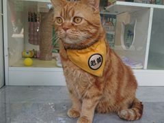 -胡椒猪肚汤(康王店)