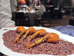 -秀儿四九城·新京菜(亚运村鸟巢店)