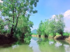 -会仙湿地