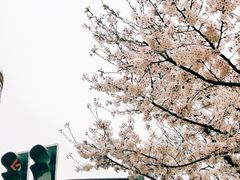 -龙美术馆(西岸馆)