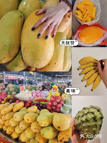 芒果释迦香蕉杨桃金桔.在广西水果自由啦！