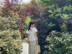 -看见远方·莫干遥远的山民宿
