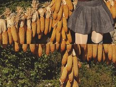-林坑古村落
