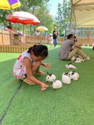 -萌宠亲子动物乐园(槐房万达店)