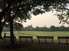 -吴淞炮台湾湿地森林公园烧烤区