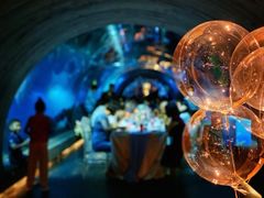 -海棠湾洲际-涛·海底餐厅·美人鱼·自助餐·海底隧道