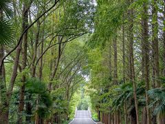-同里国家湿地公园