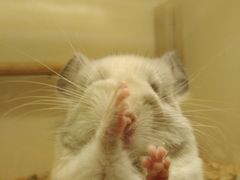 -龙猫仔乐园(惠福东路店)