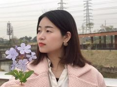 -王借岗森林公园
