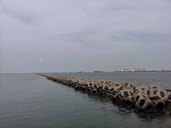 -东疆建设开发纪念公园