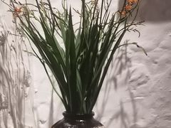-Apollo·西班牙小酒馆(安福路店)
