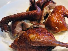 红烧乳鸽-陶陶居·雅园(凯华国际店)