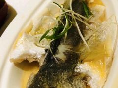 -顺峰(农展馆店)