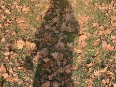 -河南省黄河迎宾馆