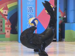 -成都浩海立方海洋公园