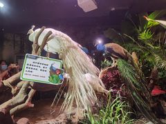 -正佳雨林生态植物园