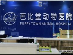 -芭比堂动物医院·24小时·眼科中心(深圳中心)