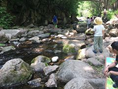 -三块石国家森林公园