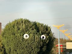 -特克斯八卦城