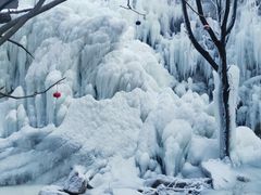 -黑龙潭风景区