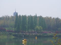 -宜兴龙背山森林公园