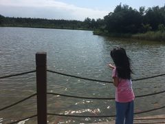 -崇明东平国家森林公园烧烤房车露营地