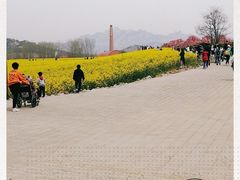 -西海岸生态观光园