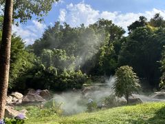 -深圳国际园林花卉博览园